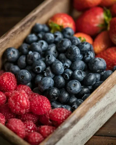 Fresh fruit cargo loaded for temperature-controlled logistics at a shipping port